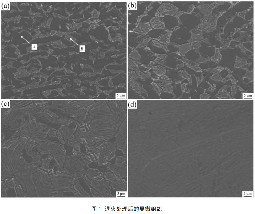 1768793639647244.jpg 1.jpg