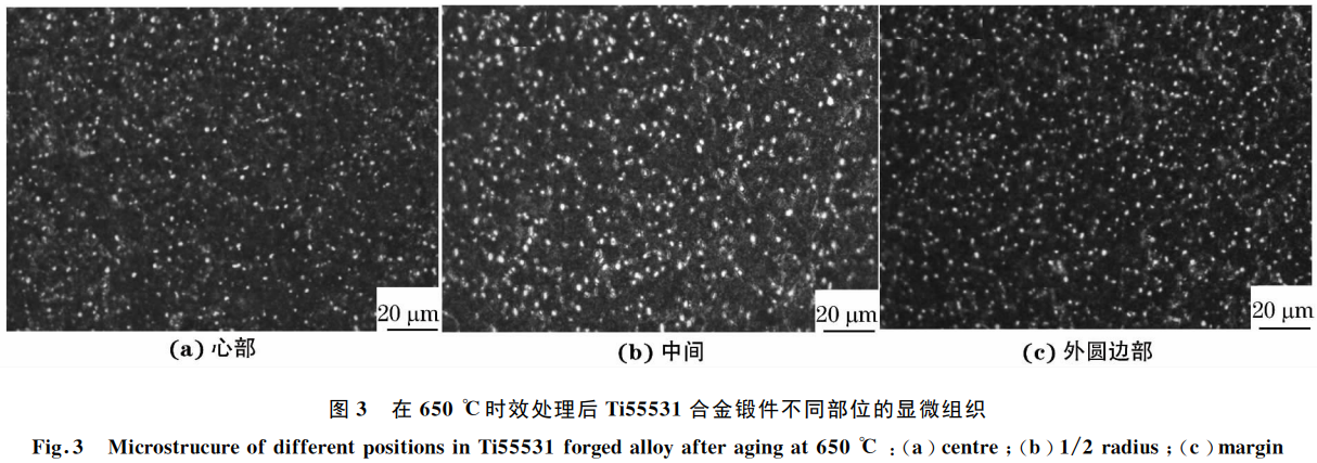 1768826935525565.png 3.png