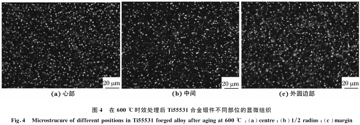 1768826943614729.png 4.png