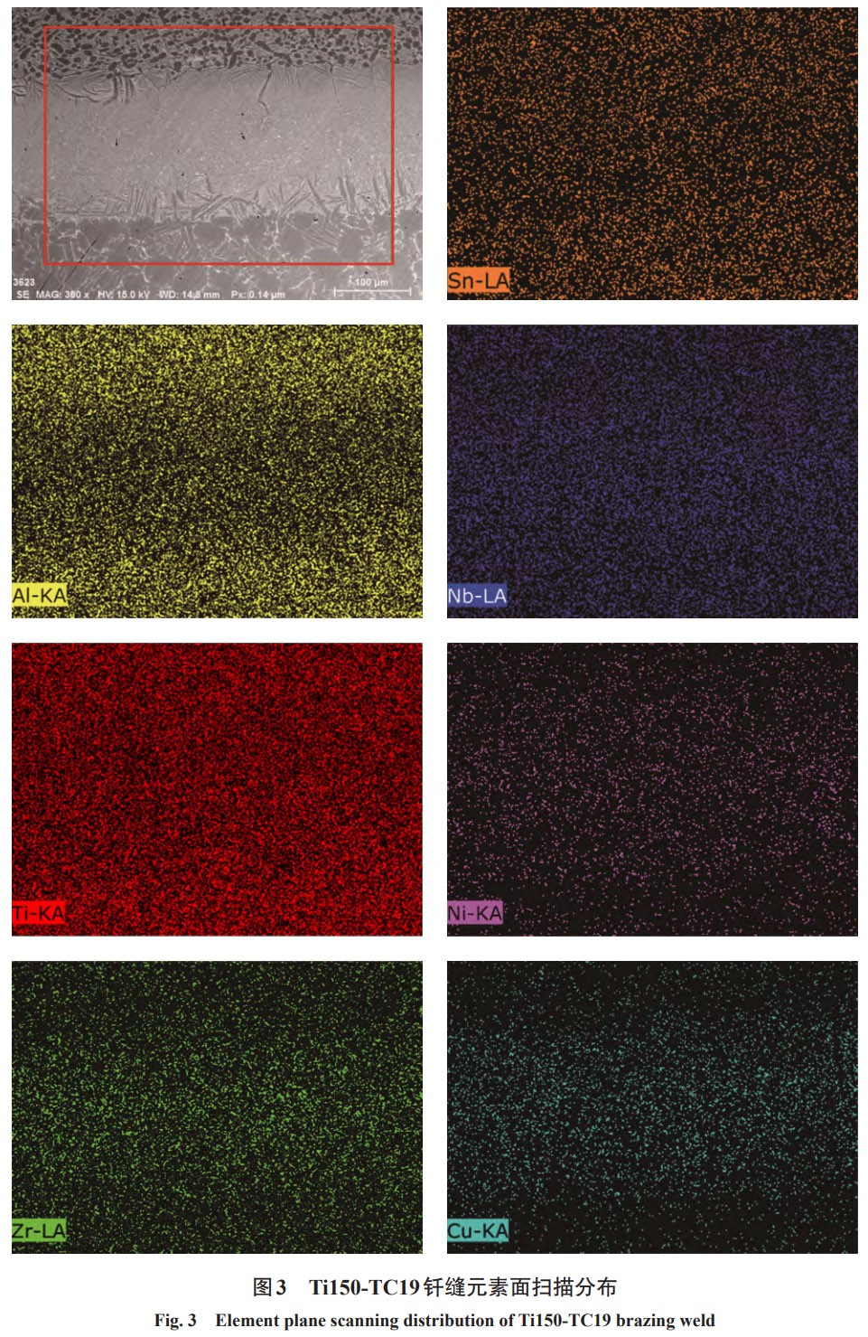 1768874761425359.jpg 3.jpg