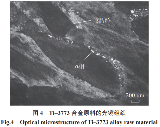 1772009378622141.png 4.png